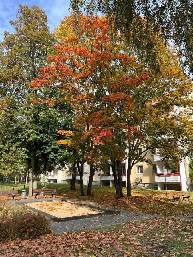 Ferienwohnung Waldstadt Πότσδαμ Εξωτερικό φωτογραφία